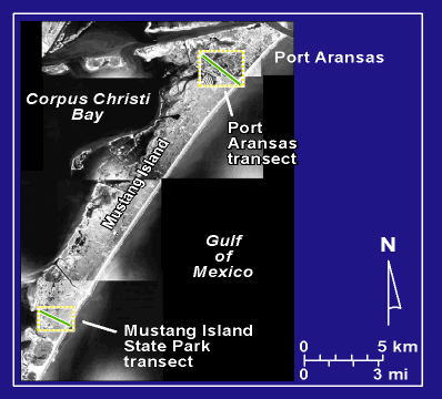 Mustang Island photomap