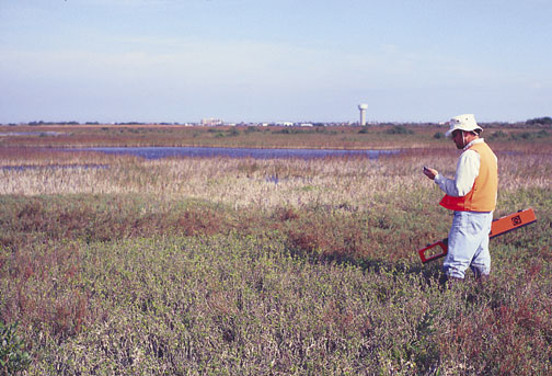 Salt-water marsh, Port Aransas